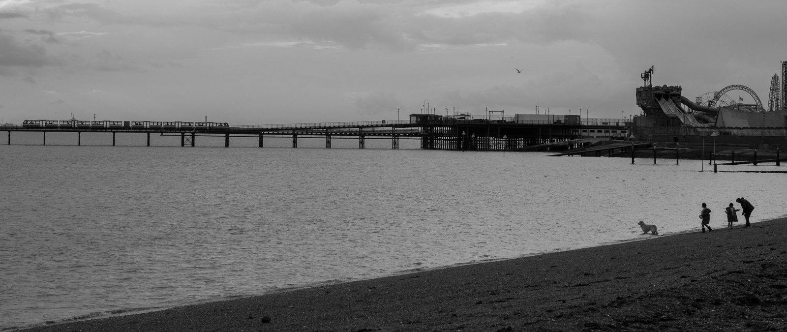 FEPS Outing 12 May 2024 Southend Field End Photographic Society