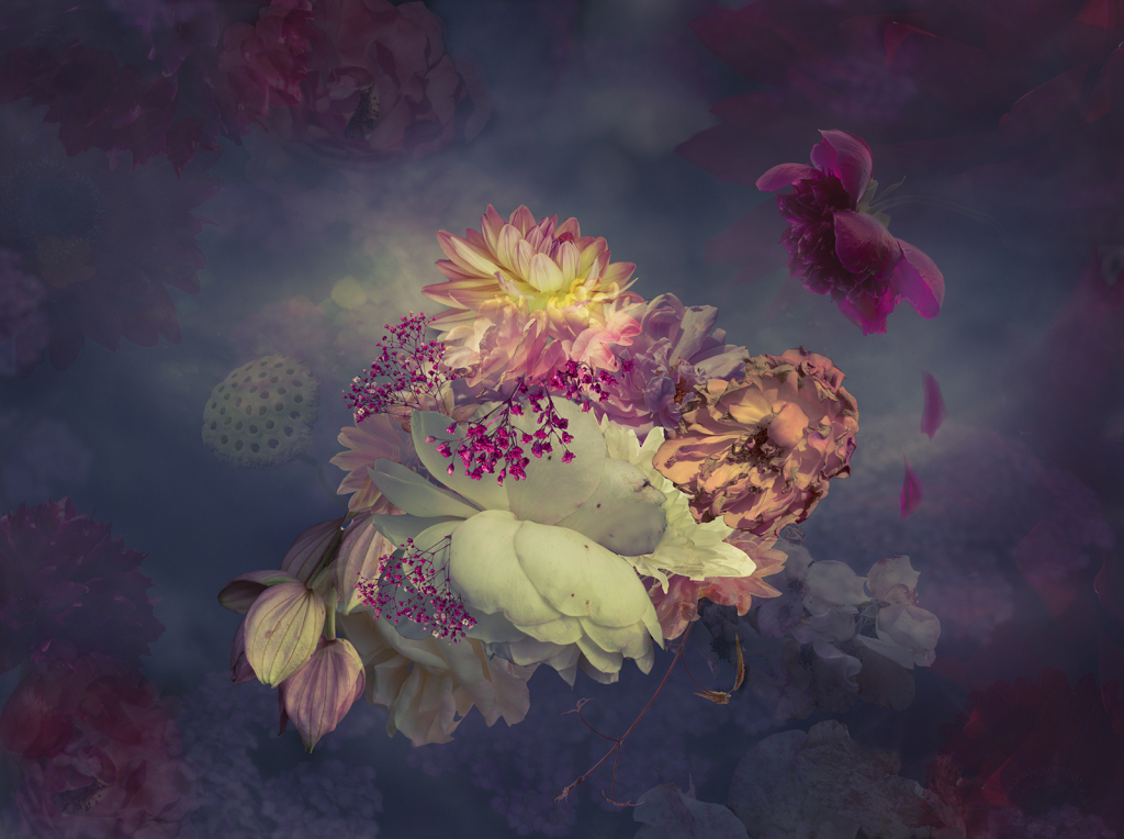 IMAGINARY FLOWERSCAPE by Catherine Allen