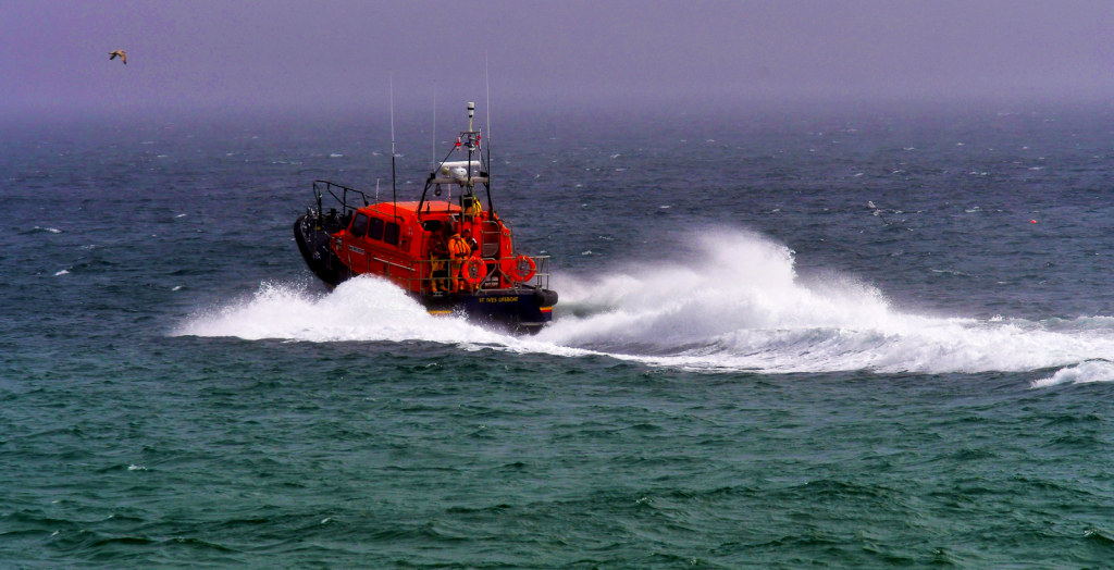 TO THE RESCUE by Ralph Watson