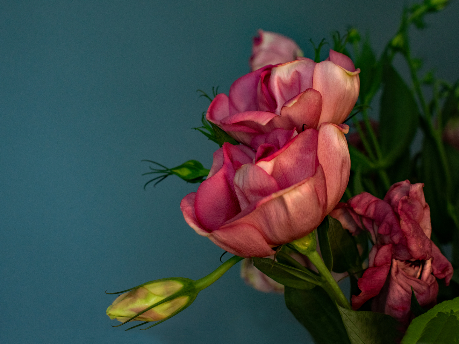 News Field End Photographic Society