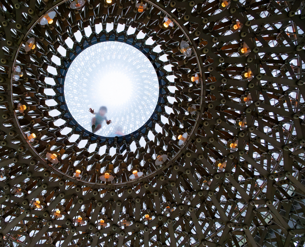 LOOKING UP by Ray Staff Class