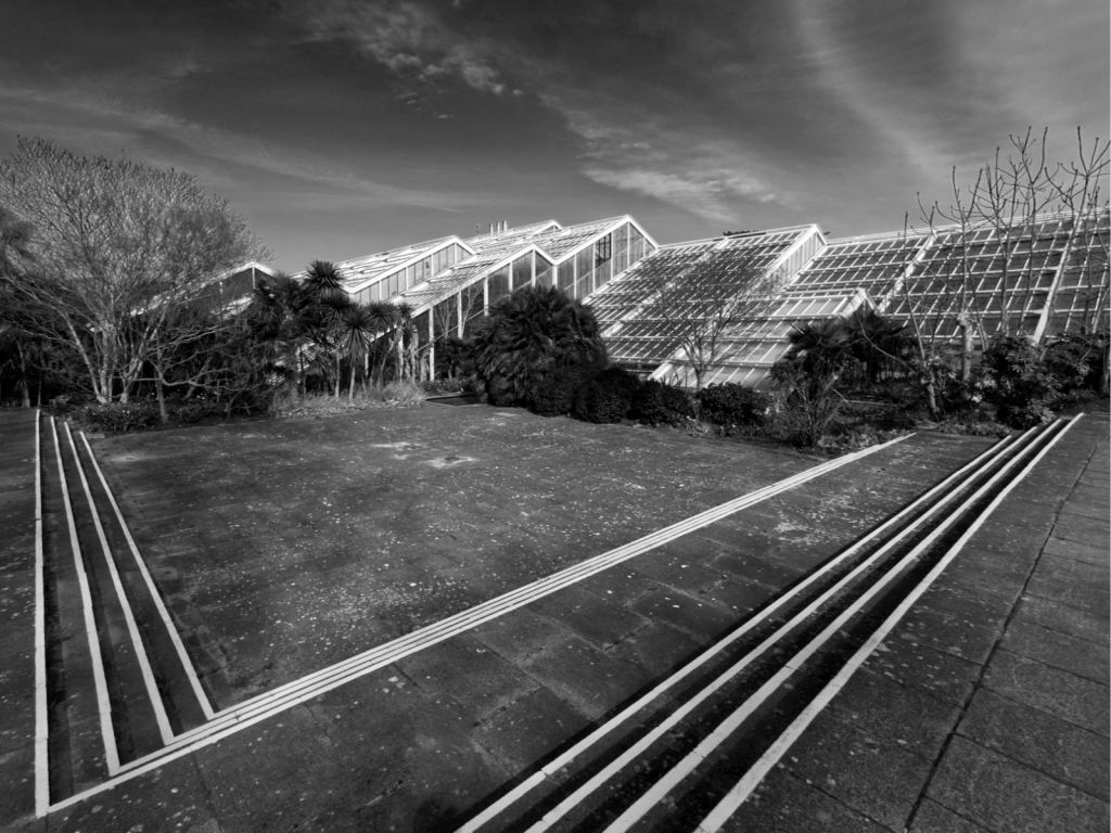 KEW LINES by Ted Weller class