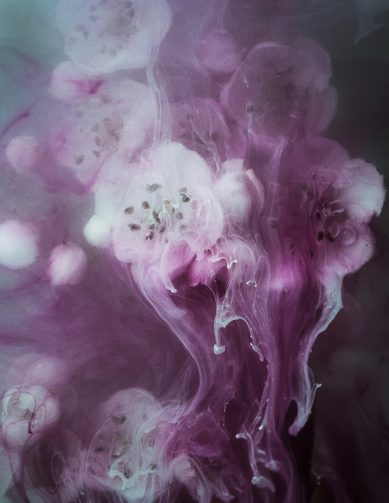 NO ARTIFICIAL COLOURS by Claire Thornton