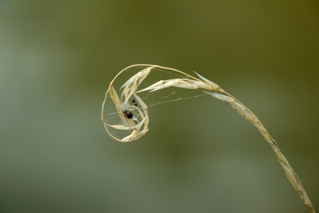 SMALL WORLD by Judy Buckley Sharp