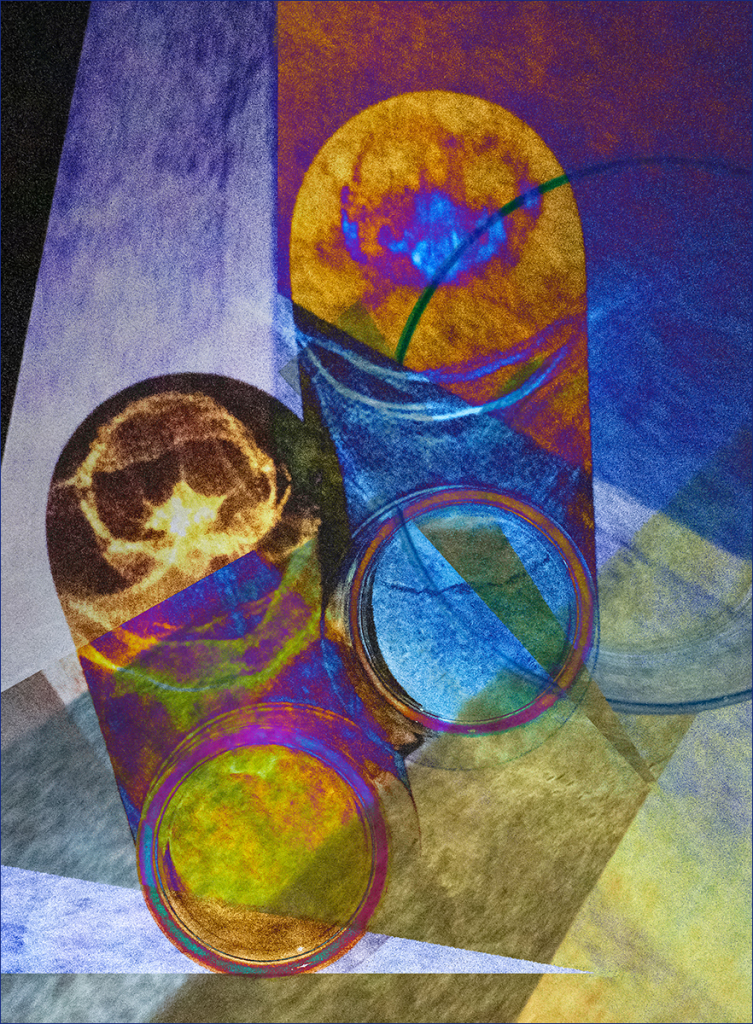 SUN AND GLASSES by Claire Thornton