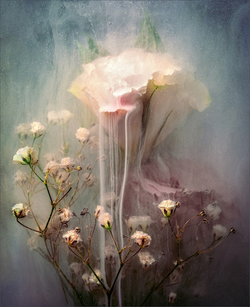 THE BRIDGE BETWEEN LIGHT AND DARK by Claire Thornton