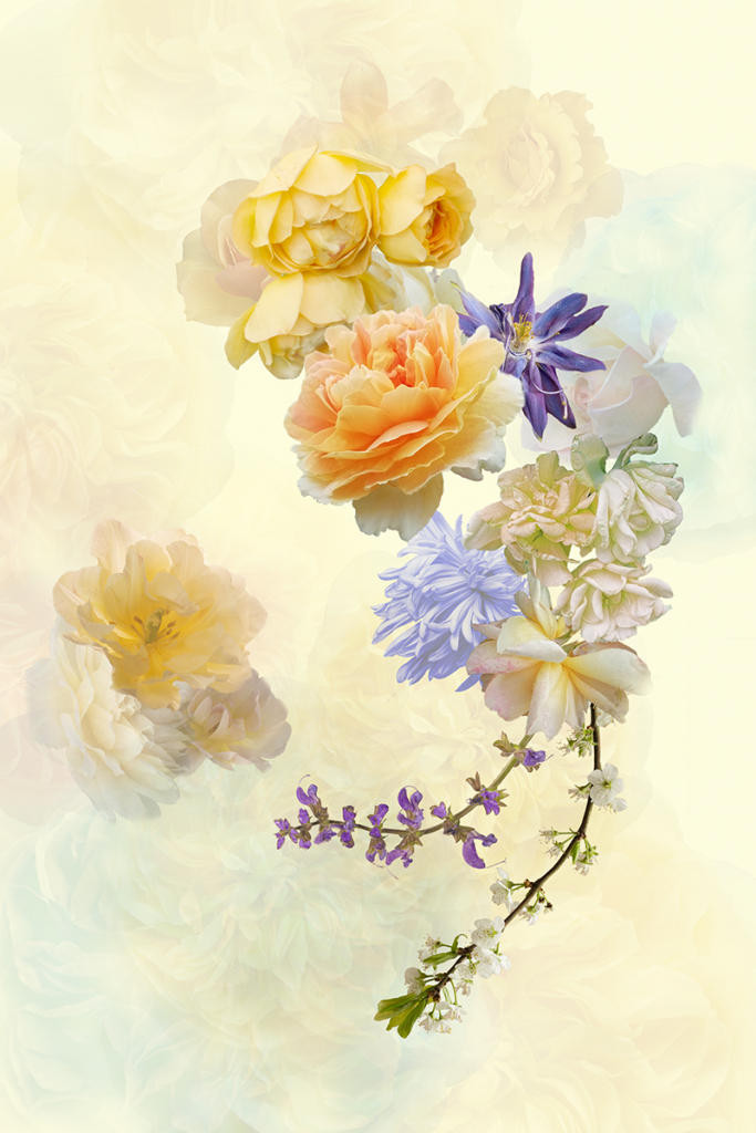 FLORAL FANTASY by Catherine Allen