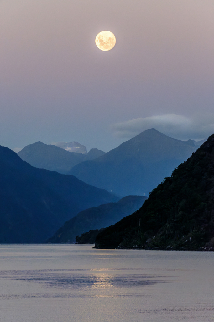 MOONSHINE OVER DOUBTFUL SOUND by Jane McLeod