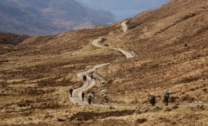 THE LONG AND WINDING ROAD BY David Heath