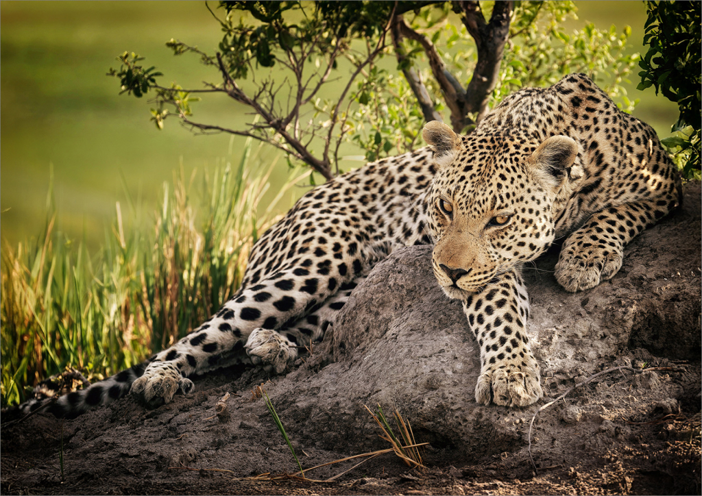 GO AHEAD MAKE MY DAY by alan rhodes class