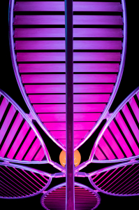 LIGHTS AT KEW by Philip OBrien class