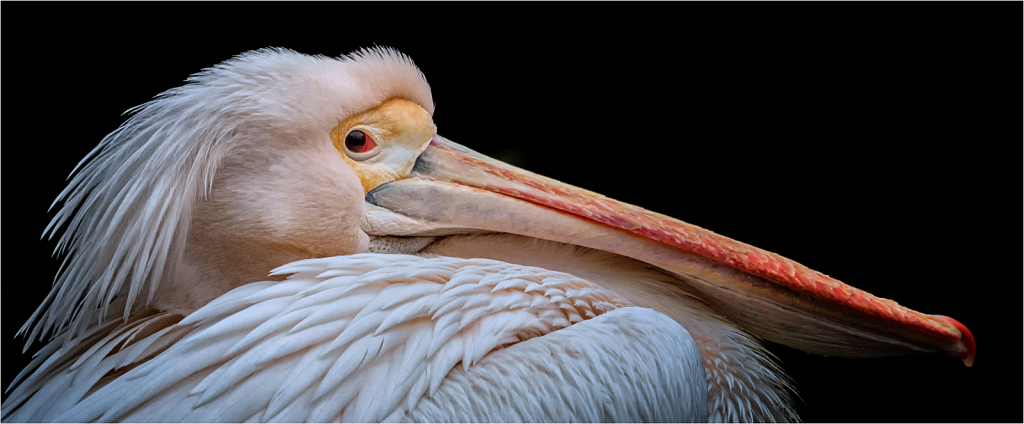 BEADY EYE by Judith Gimber class