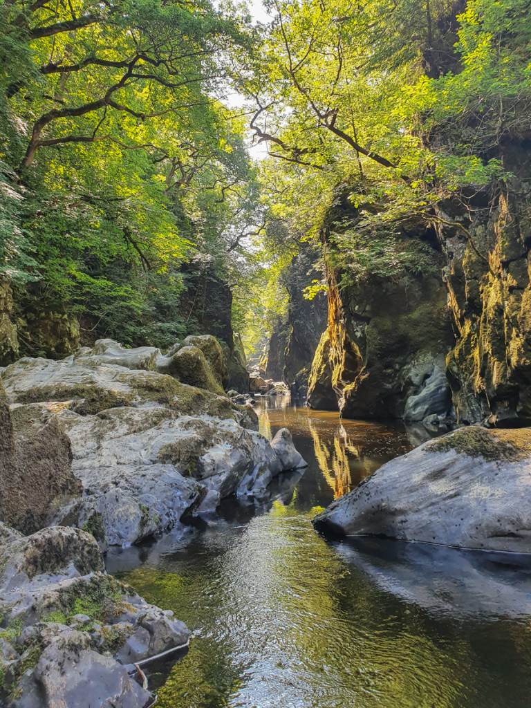 FAIRY GLEN by Philip Lee class