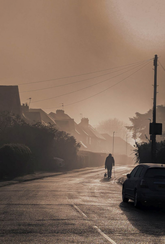 THE ROAD HOME by Catherine Tanner class