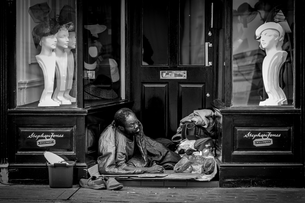 TEMPORARY ACCOMODATION David Seale class