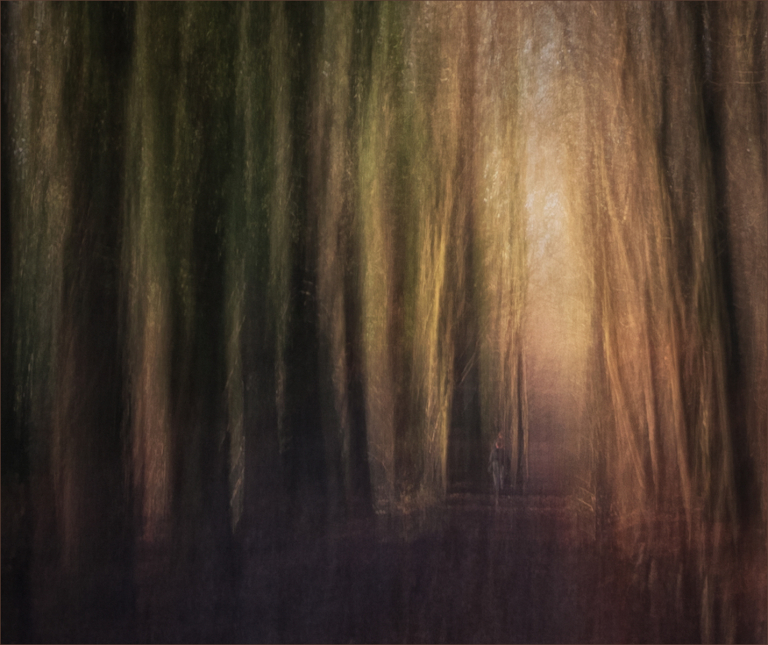 A QUIET PASSAGE by Neil Jackson class