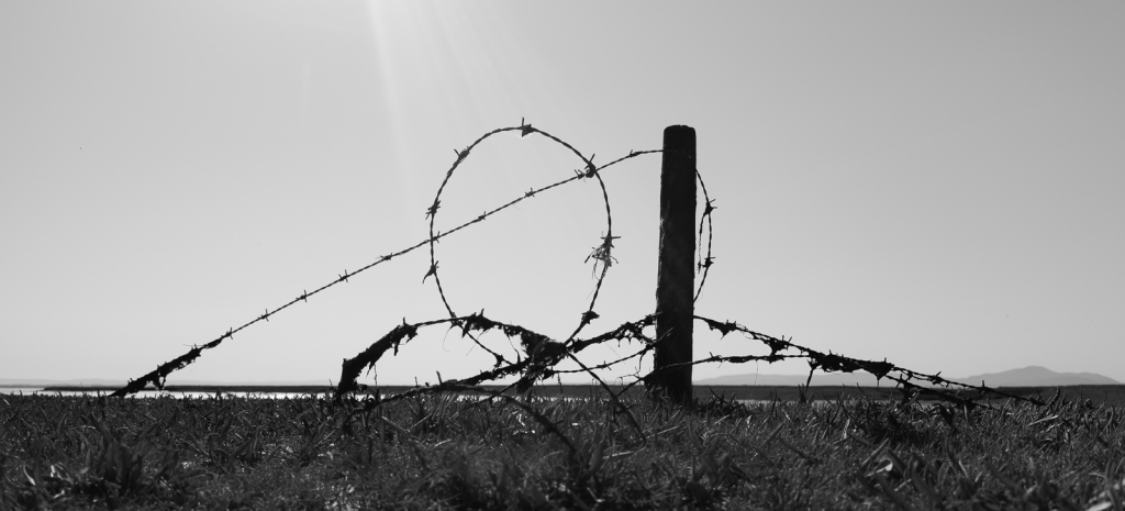 BARBED WIRE CURL by Philip OBrien Class